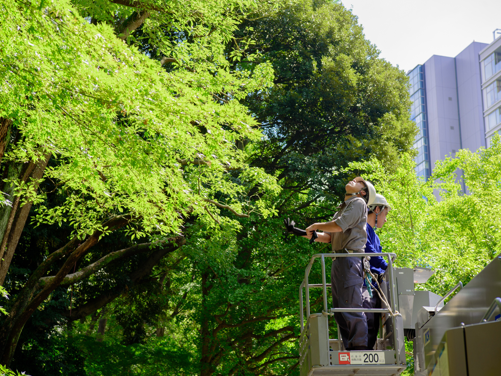 作業内容の確認