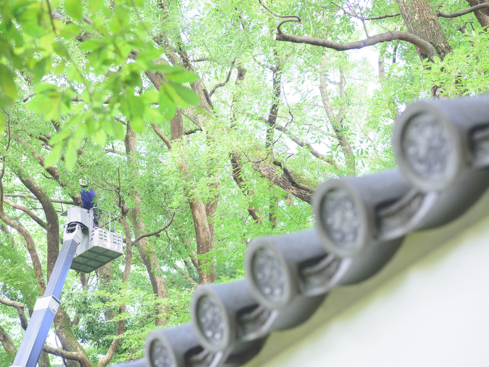 高所作業車