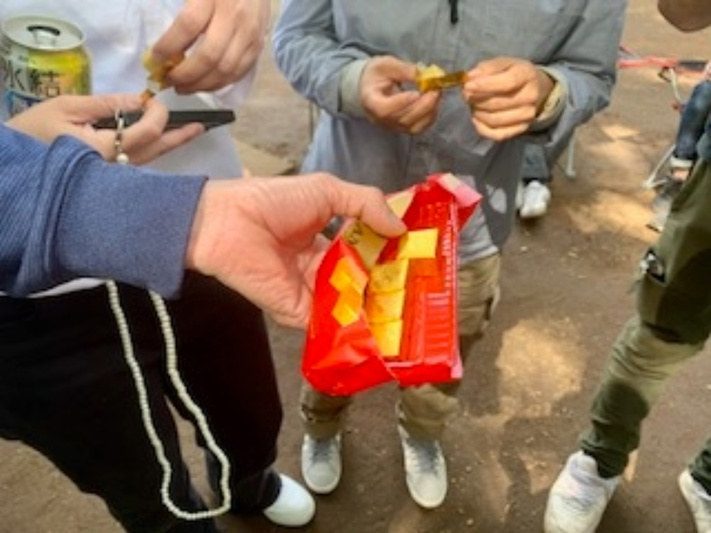 枝の整え