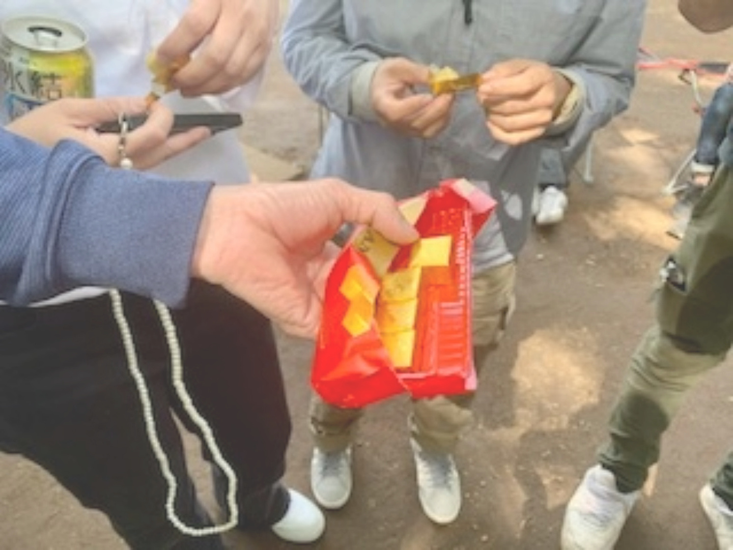 枝の整え
