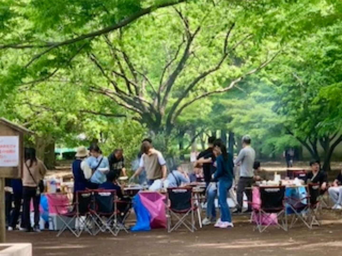 安全帯と道具